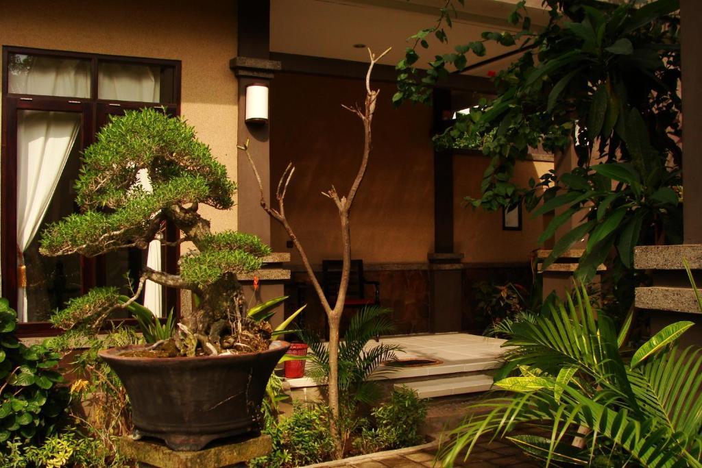 Doubleyou Homestay Pemuteran Exterior foto